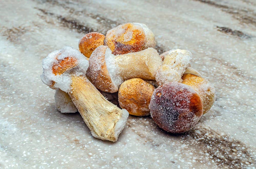 Frozen Mushrooms on a countertop