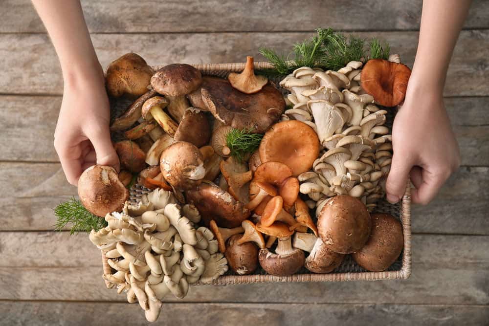 Basket with different Mushrooms