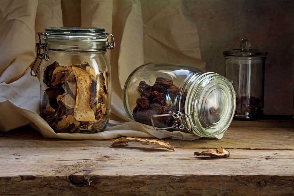 Dried Mushrooms in a Glas