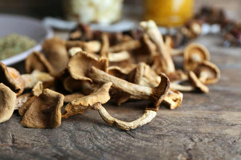 Dried mushrooms on wooden background