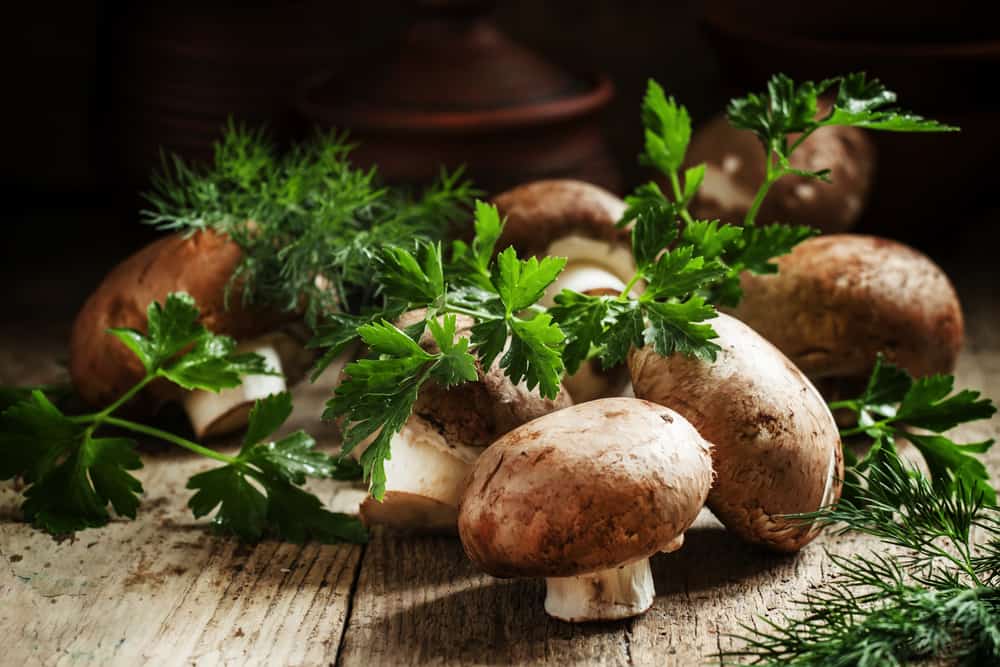 Brown mushrooms with a sprig of parsley and dill on a wooden plate